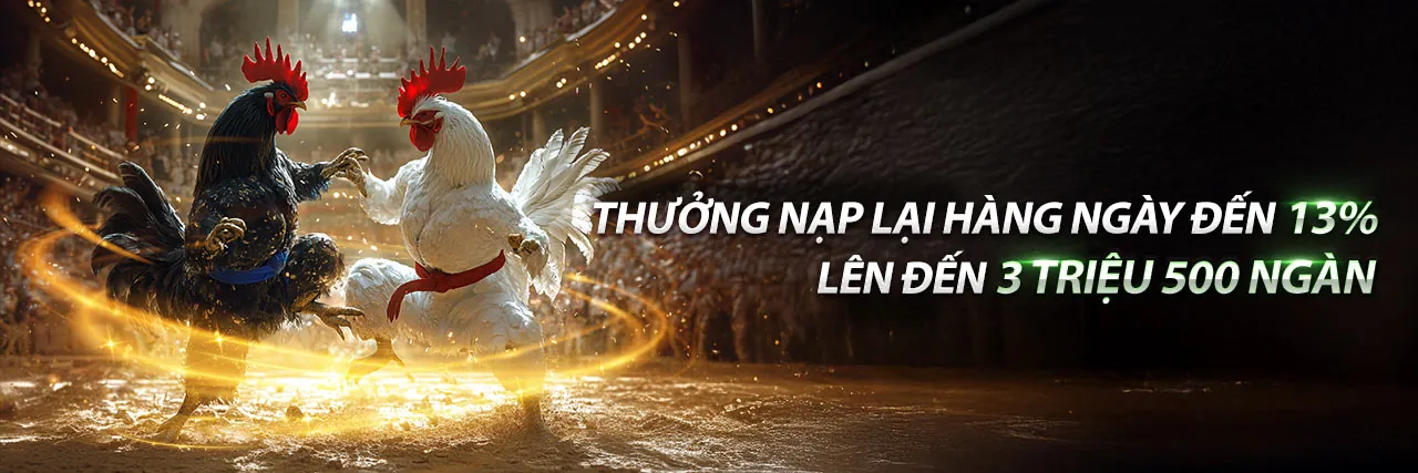 Đá Gà Thomo 13/5/2023 tại 13win asia